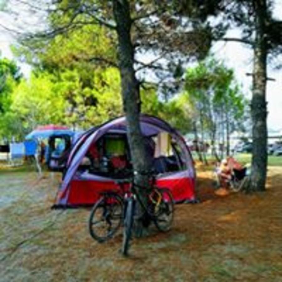 Mcm Camping Ulcinj Exterior photo