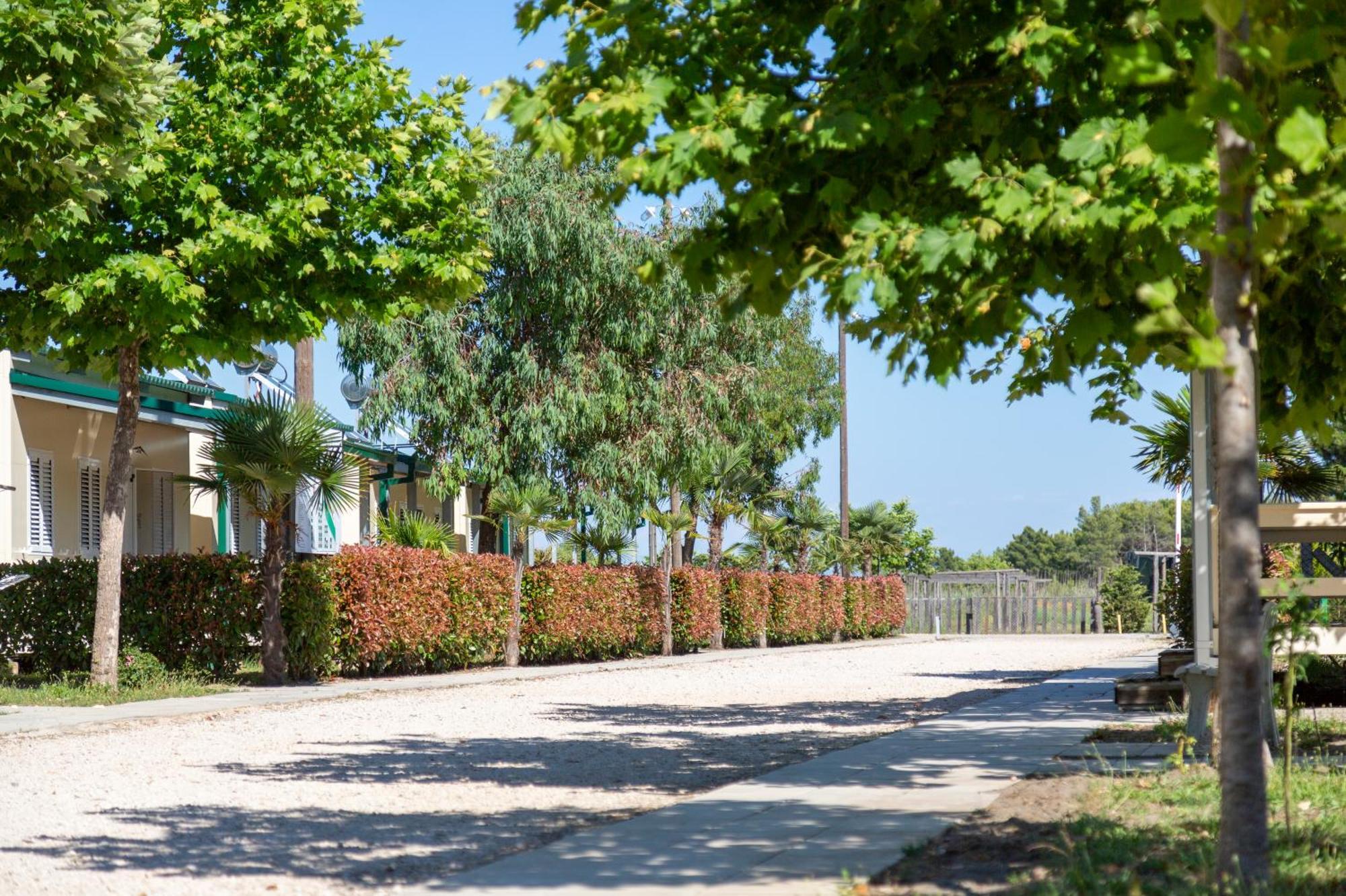 Mcm Camping Ulcinj Exterior photo