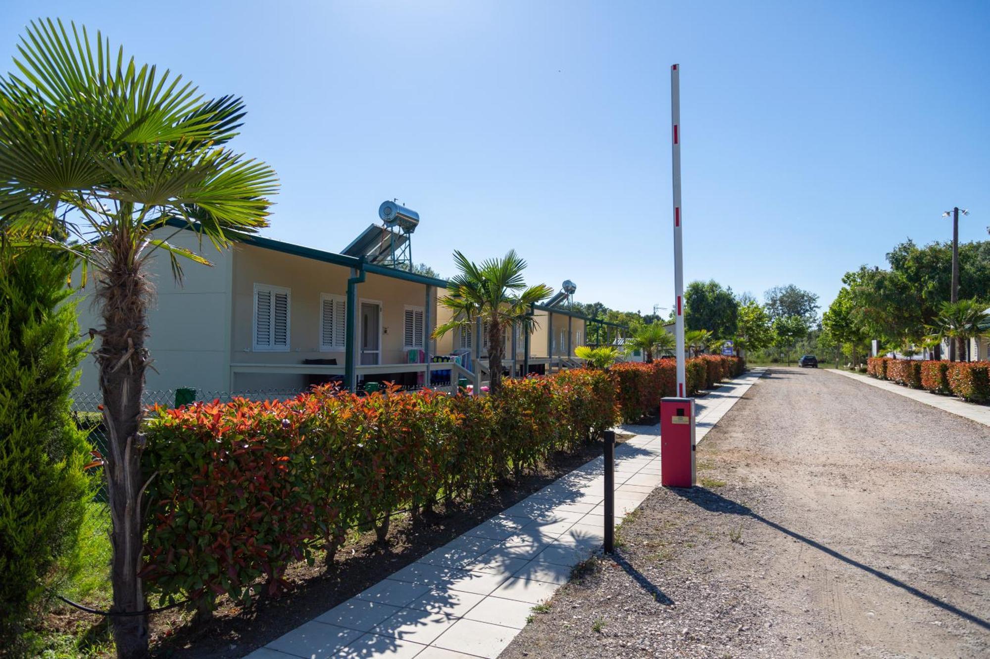 Mcm Camping Ulcinj Exterior photo